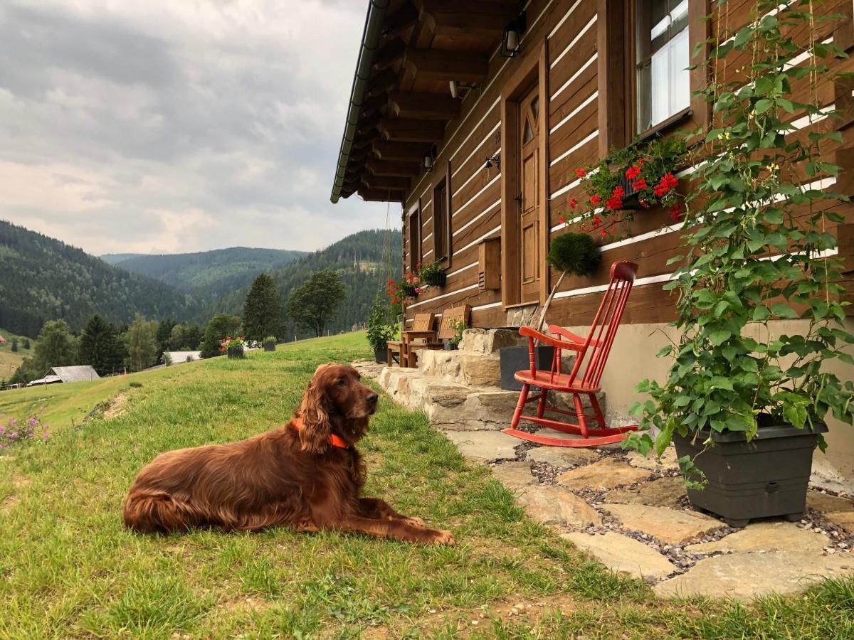 Apartmán U Setra Pec pod Sněžkou Exterior foto